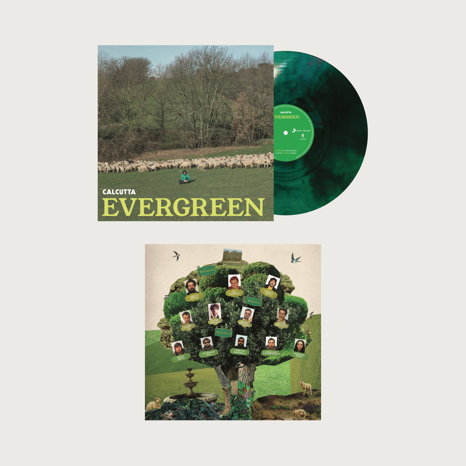 EVERGREEN (180GR MARBLE GREEN/BLACK-ED.NUM)