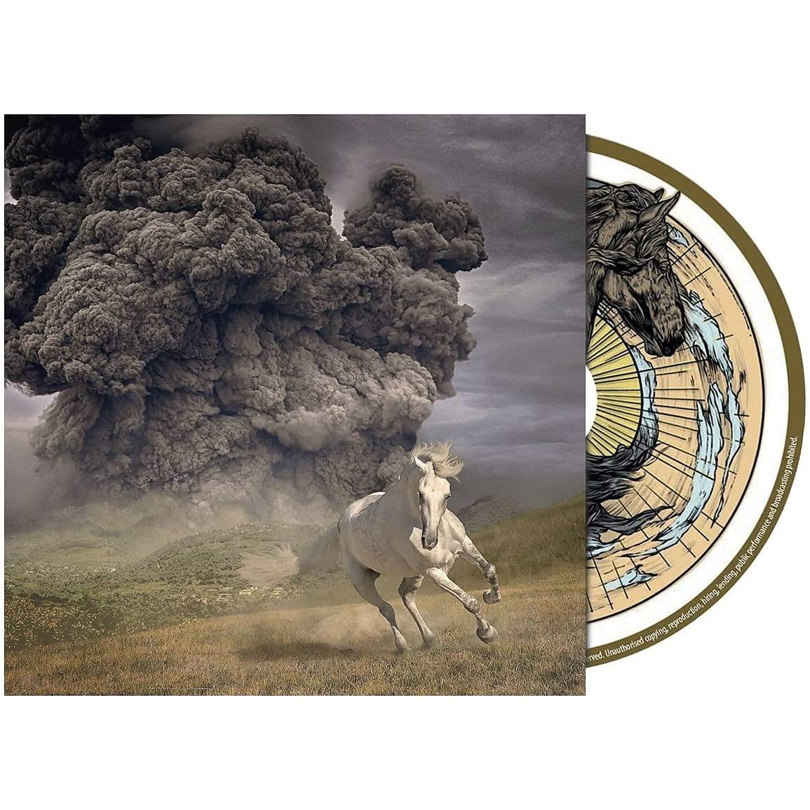 YEAR OF THE DARK HORSE