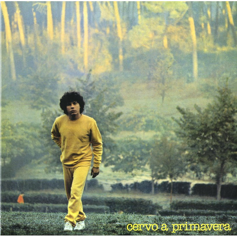 CERVO A PRIMAVERA