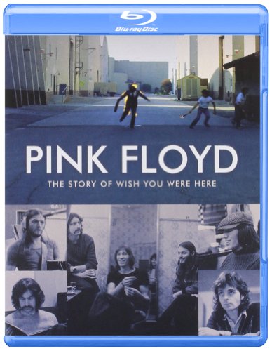 THE STORY OF WISH YOU WERE HERE